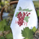 Serviette brodée personnalisée raisin à vos initiales - Villa Farese